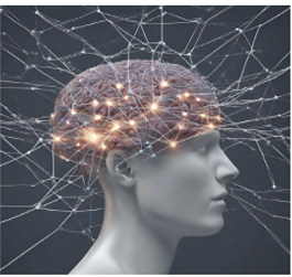 brain as neural network